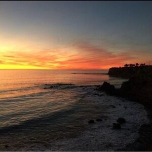 Meet your Posher, Farzaneh